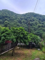 Гагра Дом под ключ ул. Русских Добровольцев, 67 отзывы 