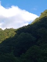 Дом под ключ ул. Русских Добровольцев, 67 фото 16