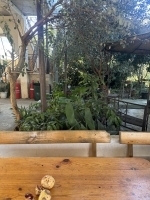 Частный дом «Елена» , море за калиткой фото 21