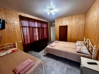 Гостевой дом «Каролина» - номер 4Х местный фото 2