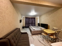 Гостевой дом «Каролина» - номер 1-Комнатные апартаменты с кухней фото