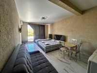 Гостевой дом «Каролина» - номер 1-Комнатные апартаменты с кухней