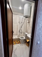 Гостевой дом «Каролина» - номер 3-Комнатные апартаменты с кухней фото 4