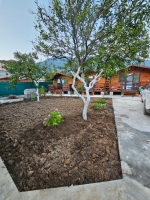 Гагра, ул. Авидзба, 18 а