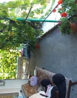 Частный сектор ул. Шицкварская, 13 фото 8