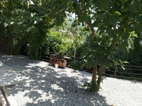 Гостевой дом ул. Саят Нова, 22 фото 6