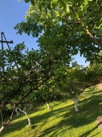 Частный сектор ул. Туманяна, 3 фото 9