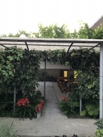 Частный сектор «У Андрея и Ани» фото 9