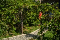 Гостевые домики «Листва» фото 19