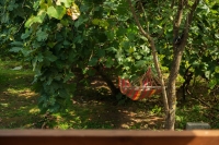 Гостевые домики «Листва» фото 15