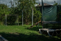 Гостевые домики «Листва» фото 23