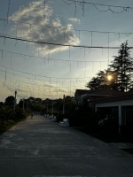 Гостевой дом «Вилла Белла» фото 16