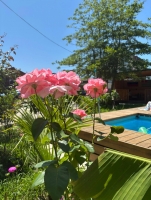 Мини-гостиница «Аляска» фото 7