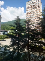 Гагра Однокомнатная квартира ул. Абазгаа, 53/4 фото