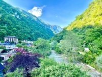 Гостиница «в Жоэкварском Ущелье» фото 16