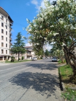 Апарт-домик ул. Генерала В.Г.Аршба, 16 фото 15