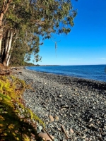 Гостевой дом «Сосновая роща» фото 6