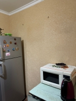 2Х комнатная квартира пр-кт Аиааира, 172 фото 9