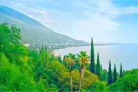 Пицунда или Гагры: где лучше отдыхать в 2025 году?