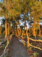 Домики под ключ «AR_ViLLA» фото 14