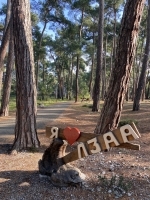 Пицунда Мини-гостиница «Фламинго» отзывы 