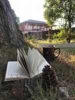 Мини-гостиница «Фламинго» фото 7