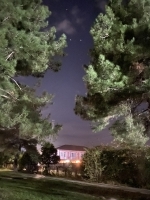 Мини-гостиница «Фламинго» фото 13