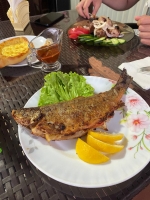 Мини-гостиница «Фламинго» фото 15