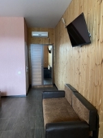 Мини-гостиница «Фламинго» - номер Стандарт 3-х местный фото 3