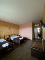 Мини-гостиница «Фламинго» - номер Стандарт 4-х местный