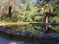 Сухумский ботанический сад