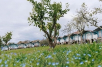 База отдыха «Мандарин» - дом под ключ