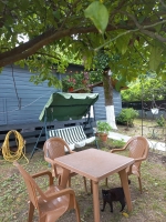 2 Коттеджа фото 13