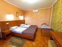 Мини-гостиница «Абхазский дворик» - номер Стандарт 3-х местный фото