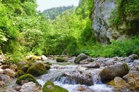 Цандрипш или Гагра: где лучше отдыхать в 2025 году?