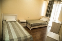 Hotel «GEGA» - номер Стандарт с раздельными кроватями фото