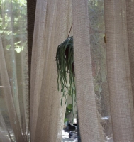 Частный сектор г. Пицунда, ул.Фабричная, 20а. Под ключ!!! фото 14