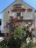 Гостевой дом «VILLA-DANA» фото 8