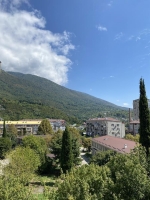 2Х-комнатная квартира ул. Абазгаа, 55/1 фото 10