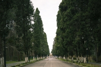 Новый год в Пицунде