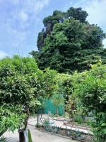 Дом под ключ п. Цитрусовый, 16 фото 12