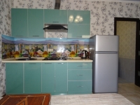 Частный сектор ул. Песочная, 2 - номер Апартаменты с кухней фото