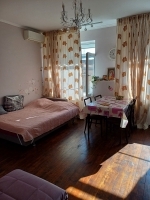 Студия ул. Абазинская, 35 фото 7