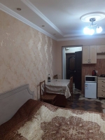 Квартира-студия ул. Ладария, 2