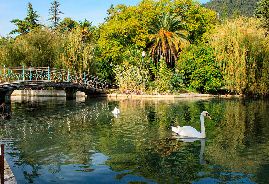 достопримечательности Нового Афона Абхазия