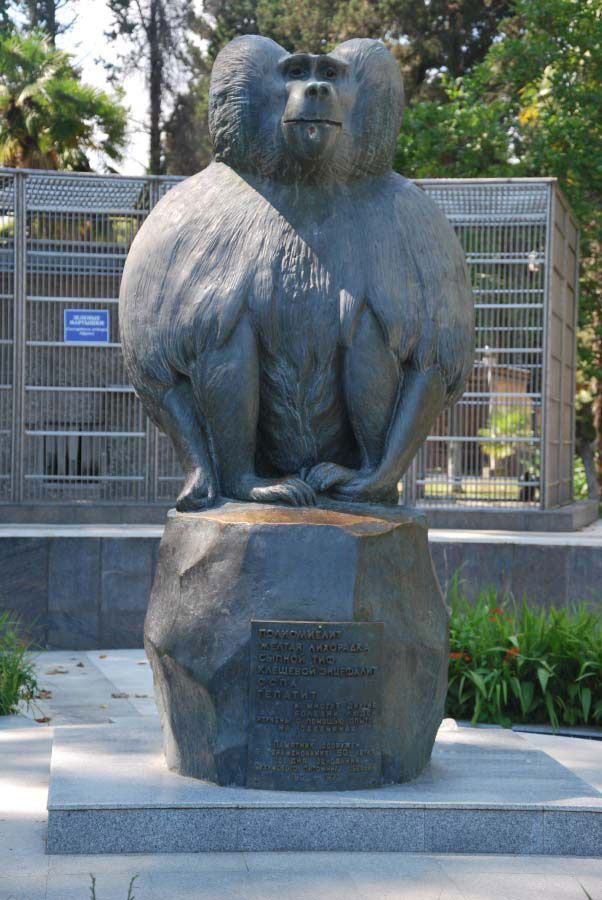 Сухумский обезьяний питомник памятник обезьяне