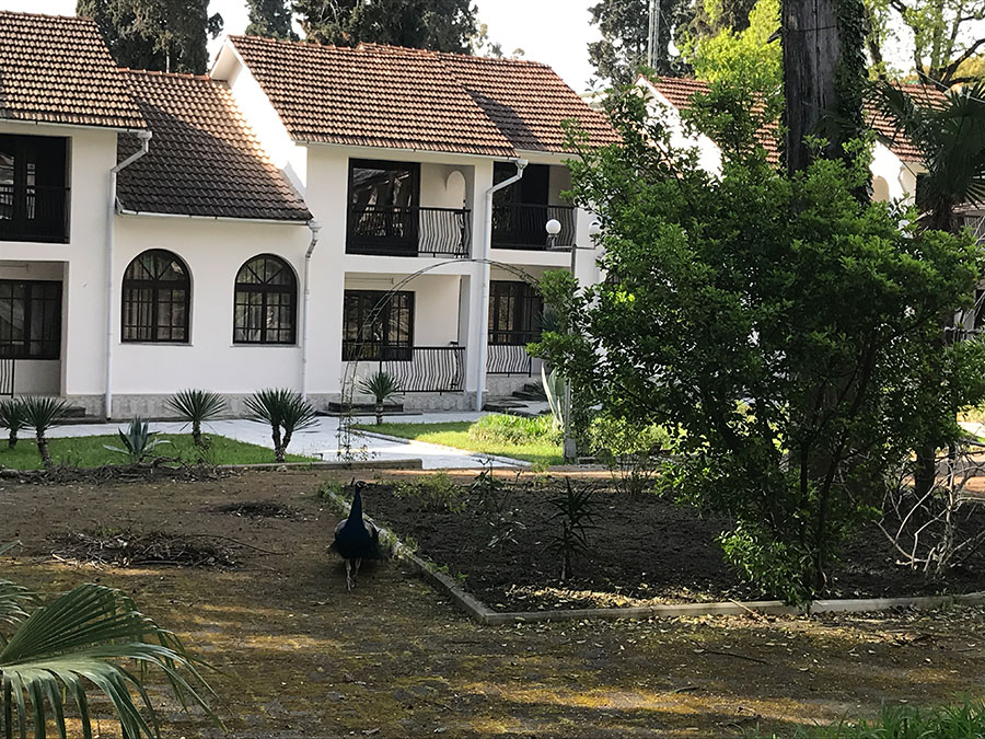 отели в Абхазии с собственным пляжем в Сухуми